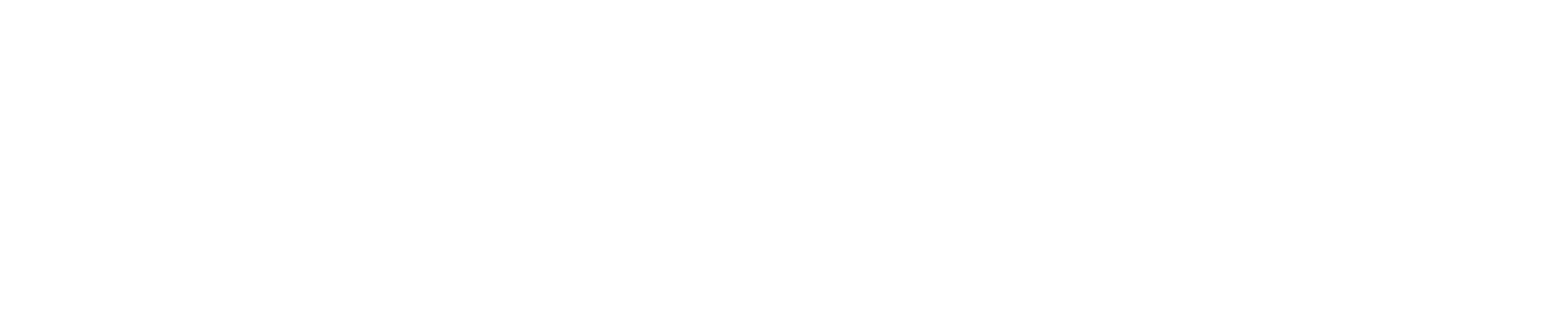 Digitizt
